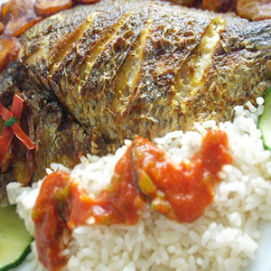 Fish